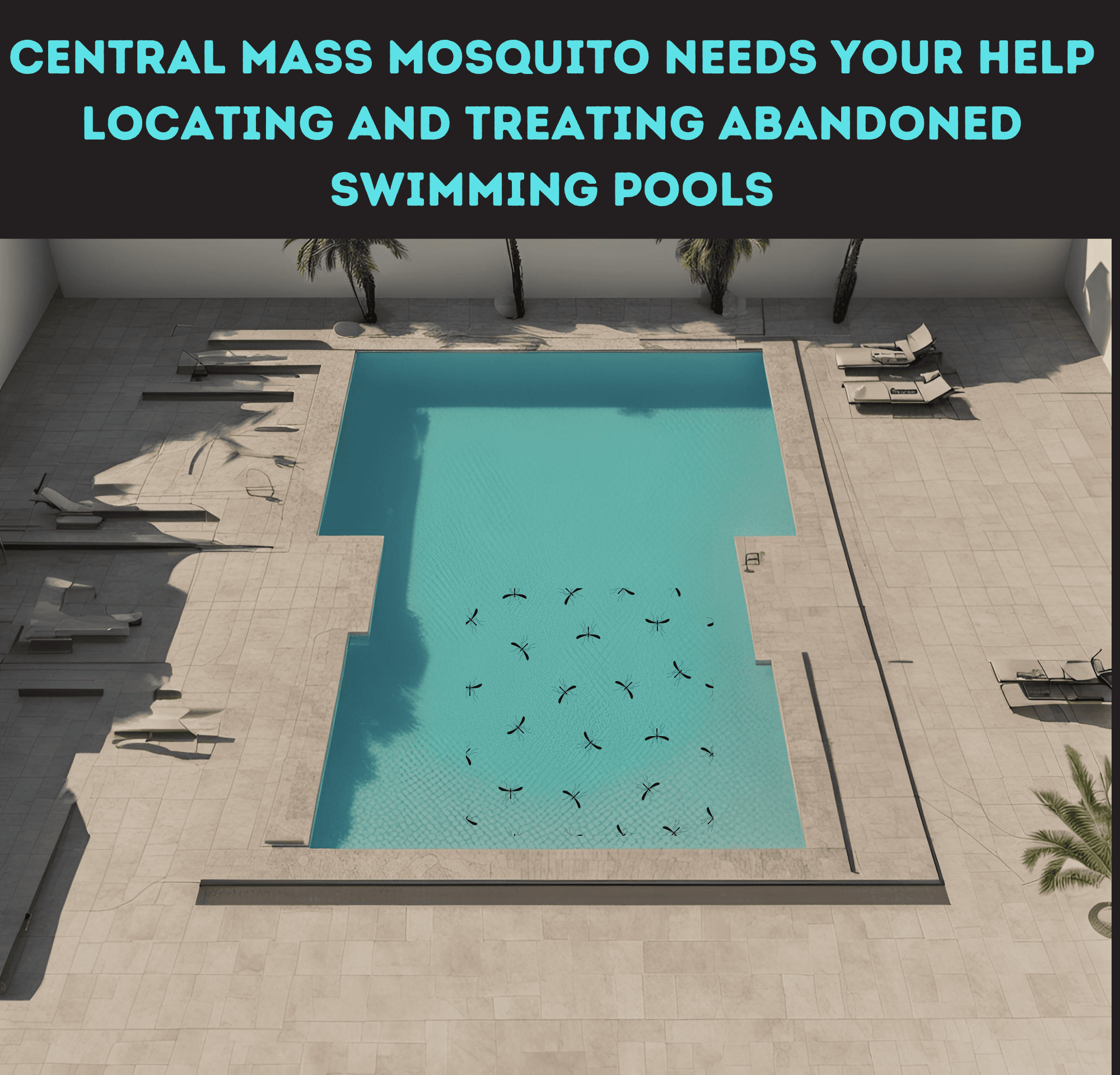 Central Mass Swimming pools