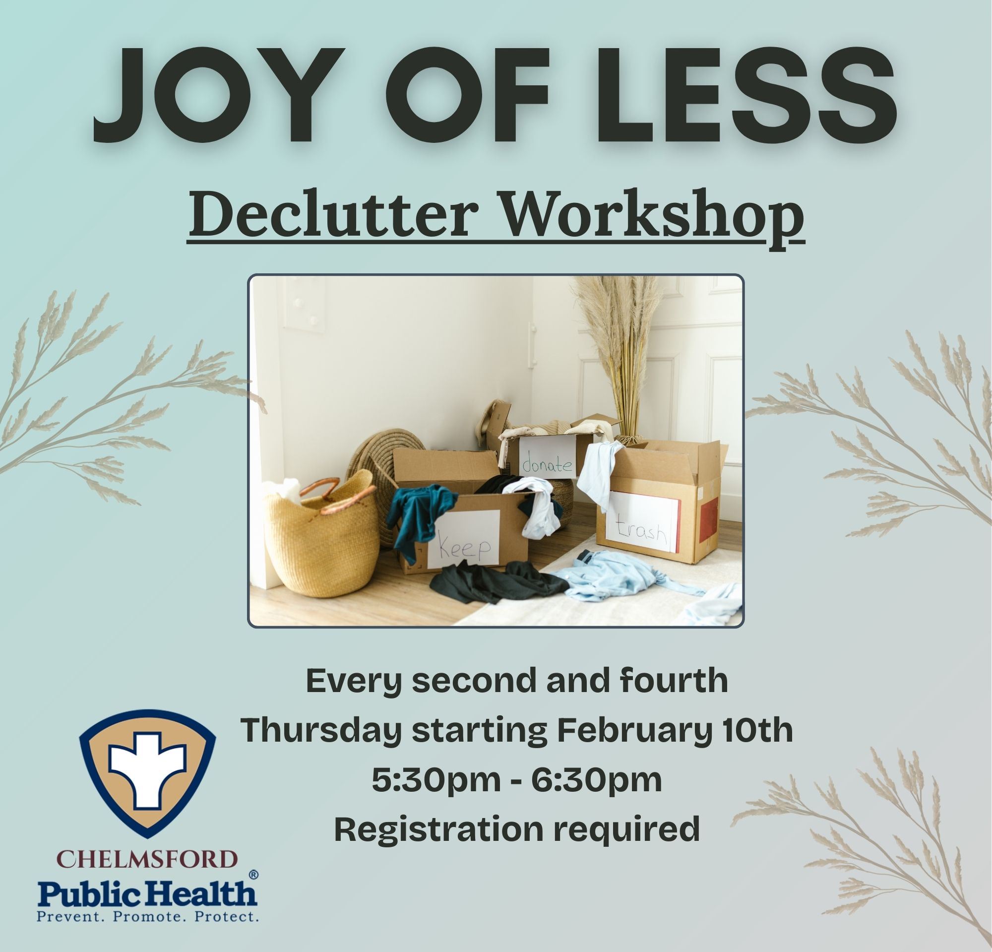 Newsflash Joy of Less