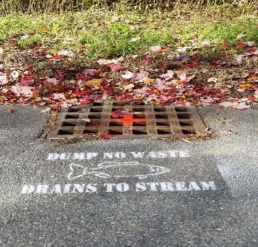 Stenciled Storm Drain