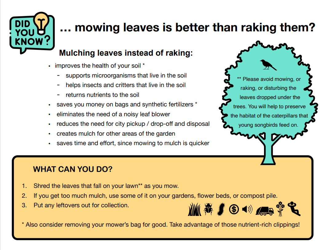 Yardwaste Mulch Image