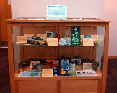 storm water exhibit at the library